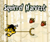 Squirrel Harvest