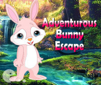 Adventurous Bunny Escape